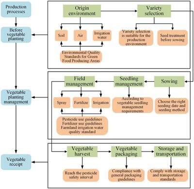 Gap between words and action: empirical study on the consistency of farmers supporting green vegetable production practices